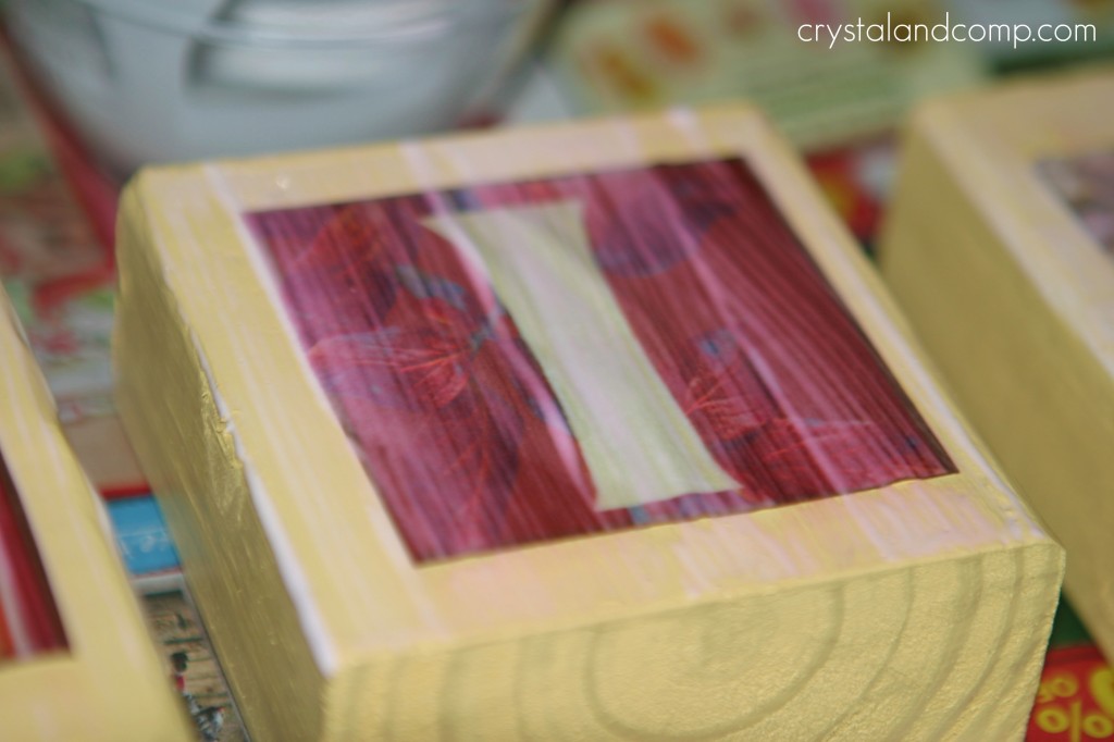 mod podge blocks