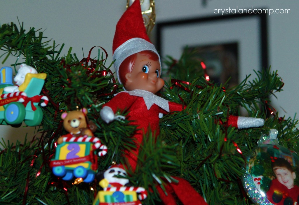 elf in the Christmas tree
