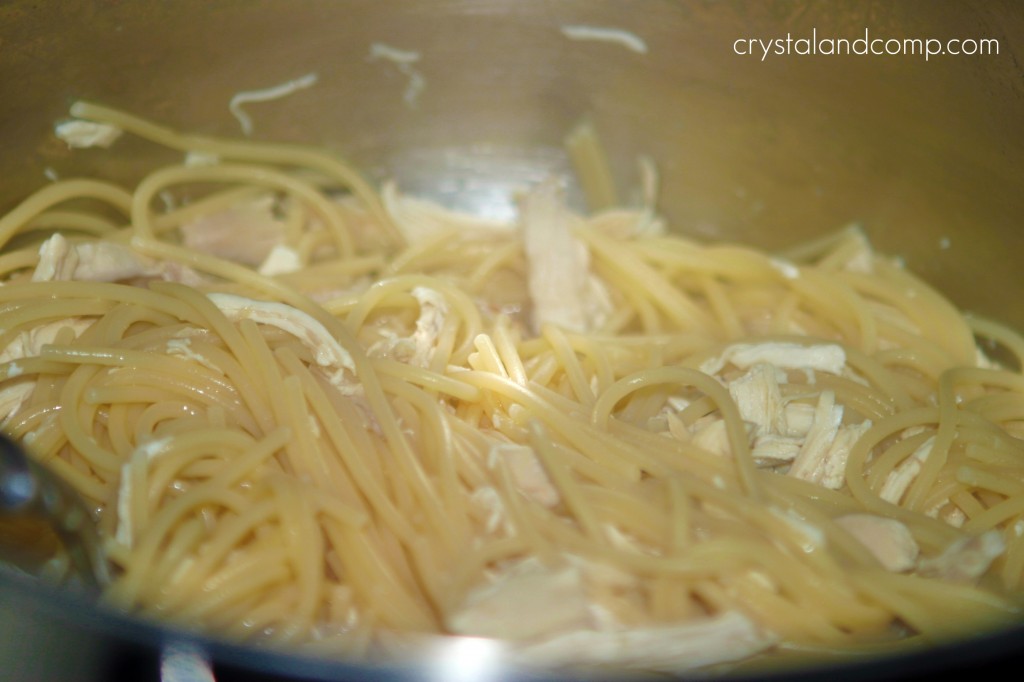 cooked pasta and chicken