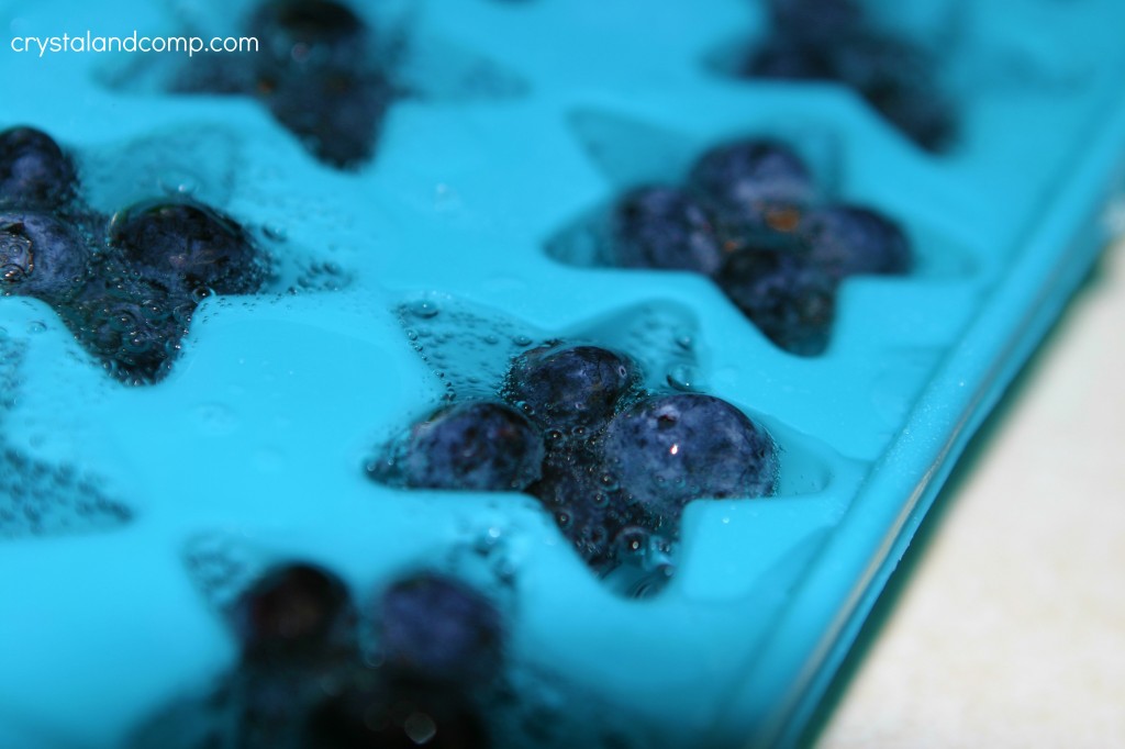 blueberry ice cubes