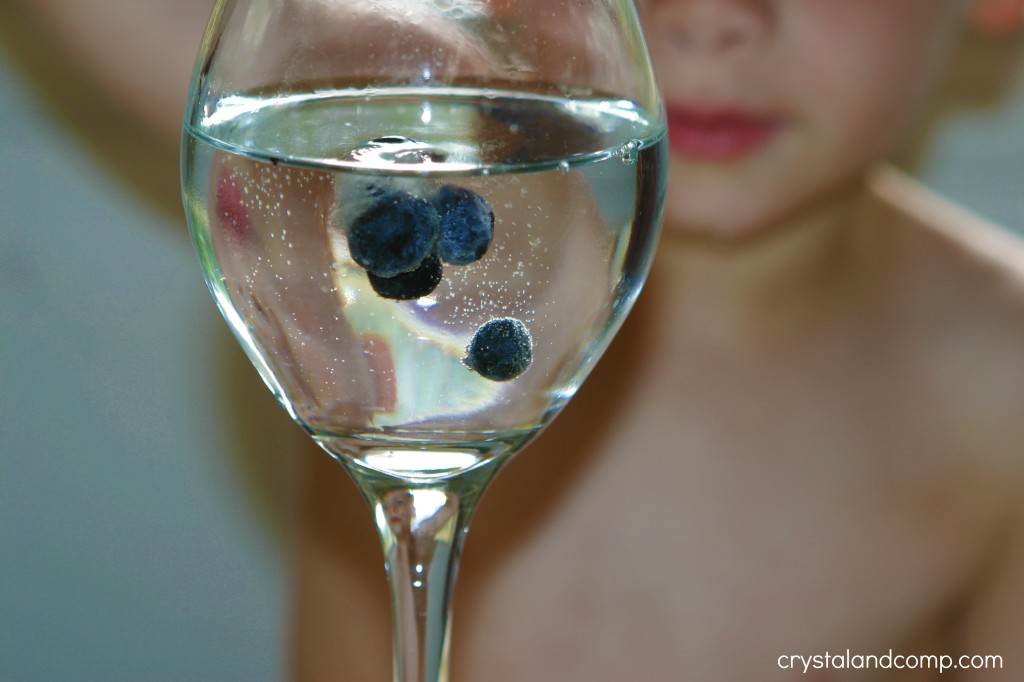 blueberry science