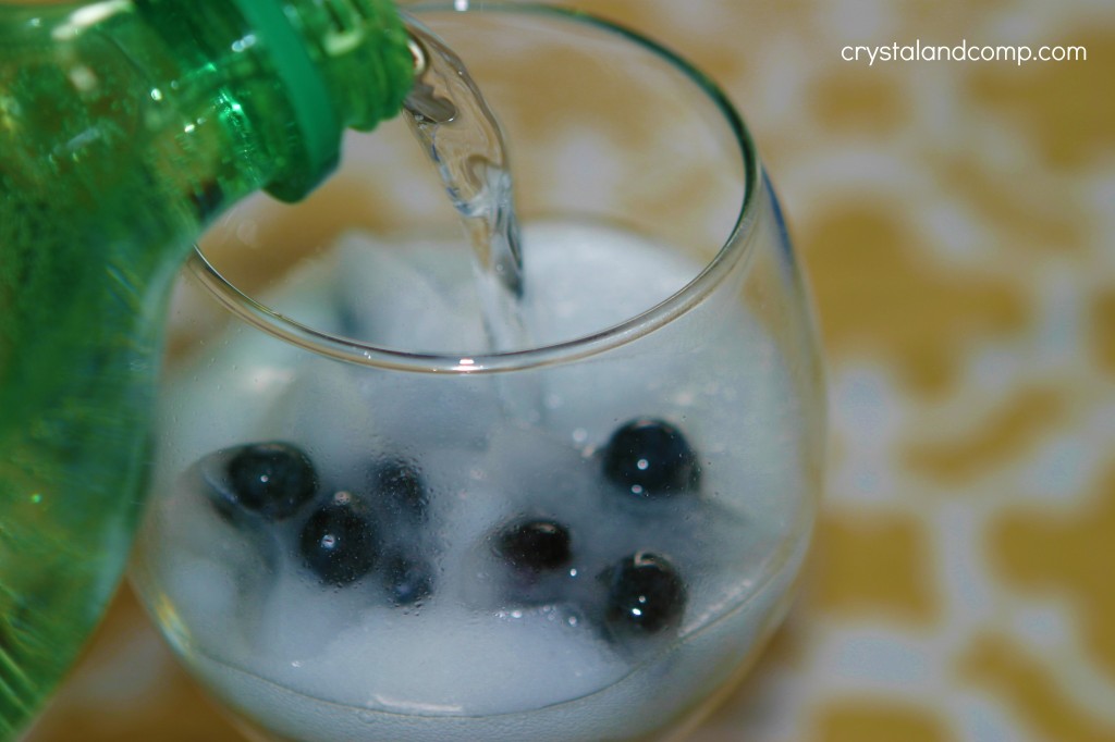 fruit spritzer