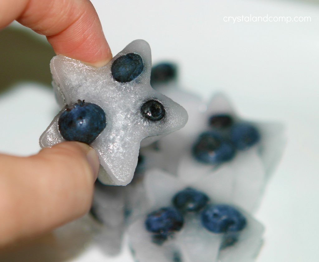 ice cubes with blueberries frozen fruit