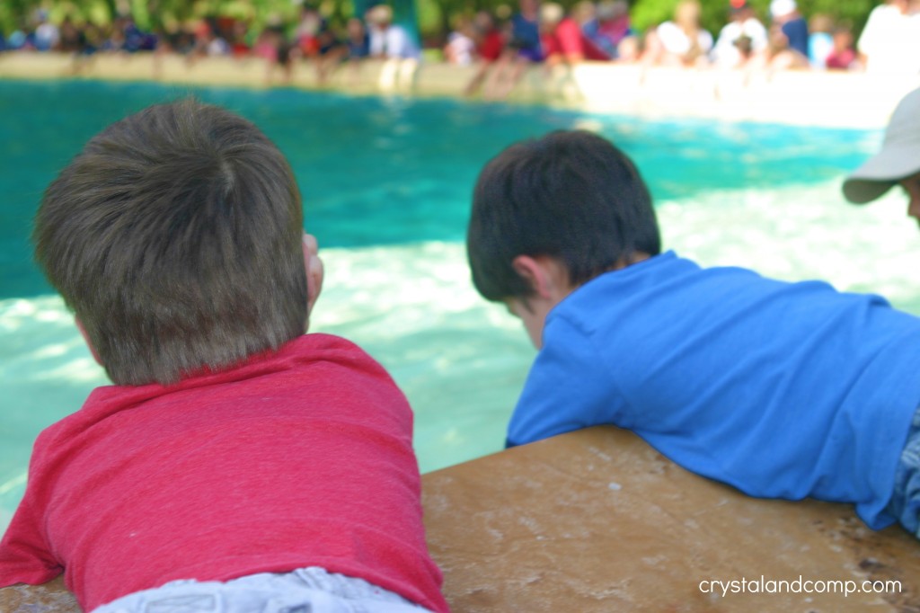 nick and luke sea world