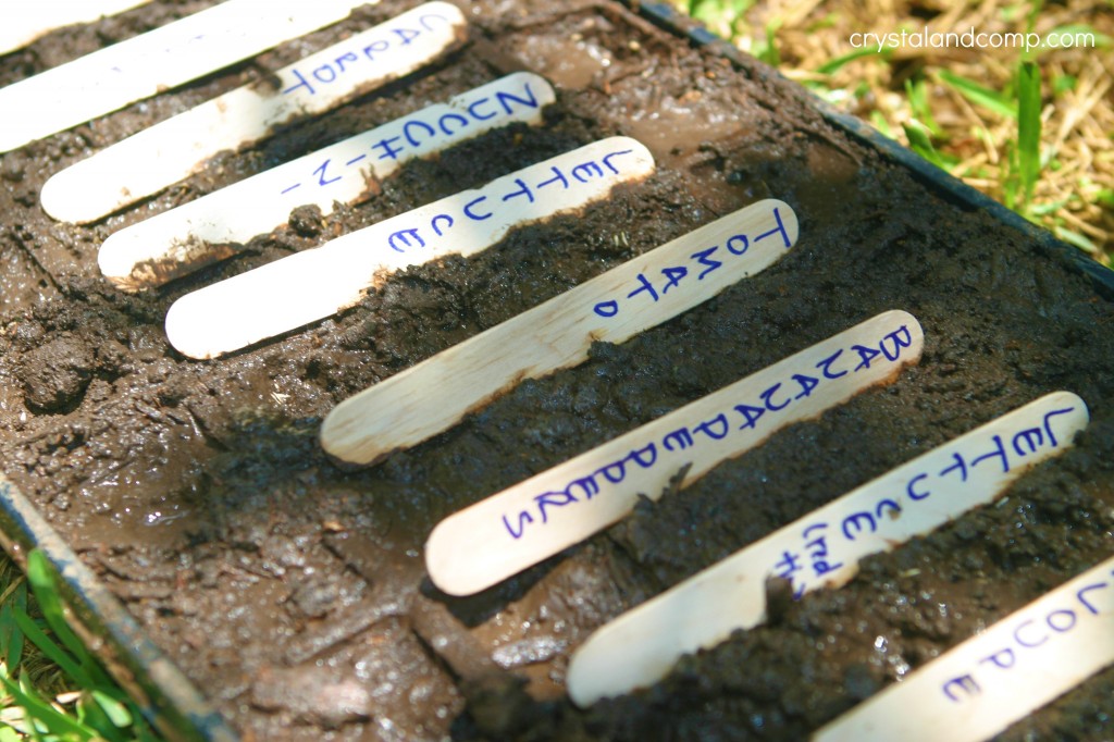 organic organic gardening