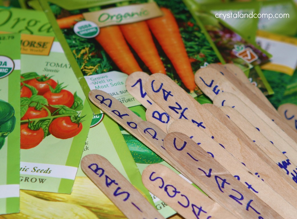 organic seeds