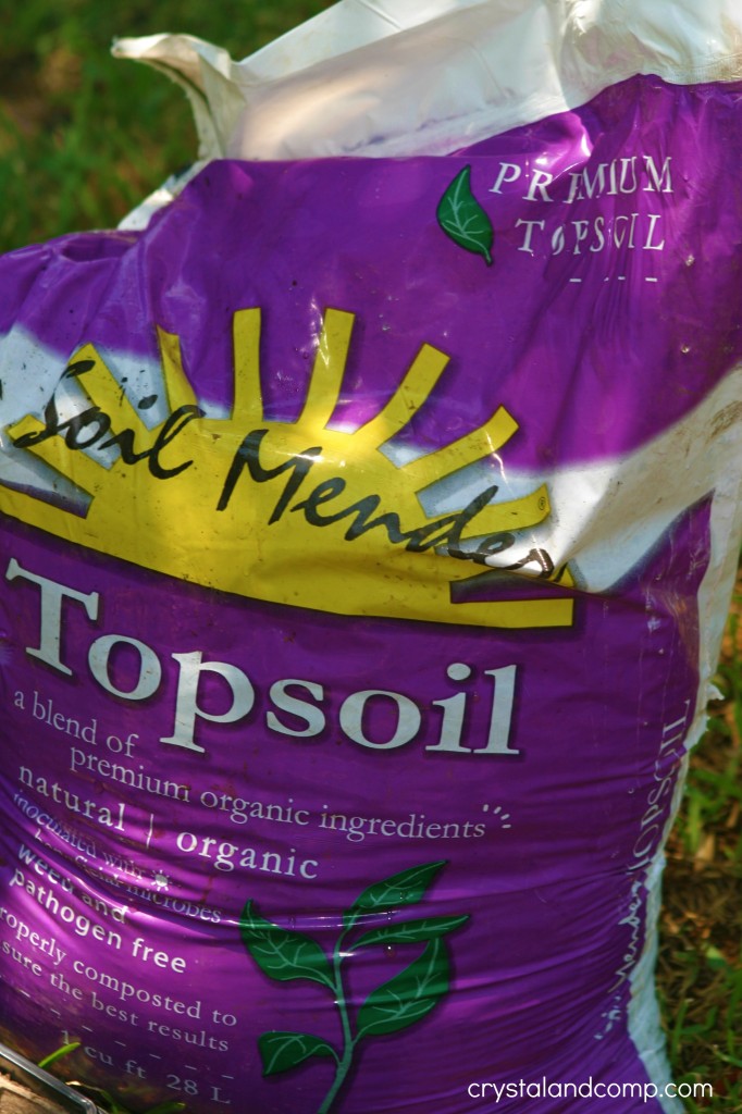 organic soil