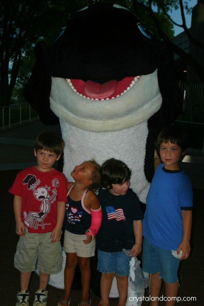 picture with shamu