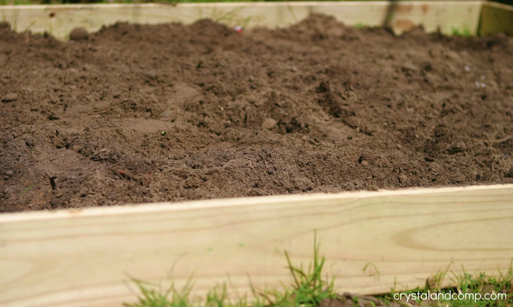 raised bed square foot garden