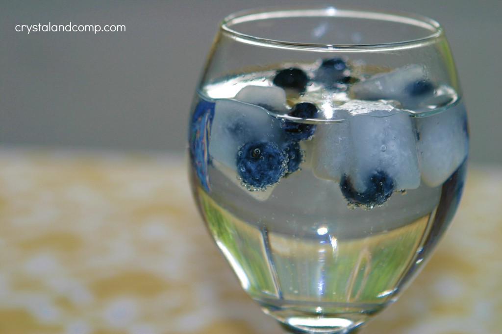 refreshing drink frozed fruit ice cubes