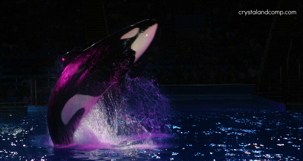 shamu
