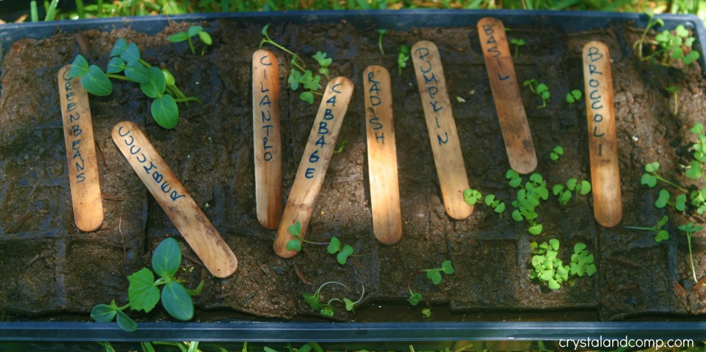 small garden organic gardening
