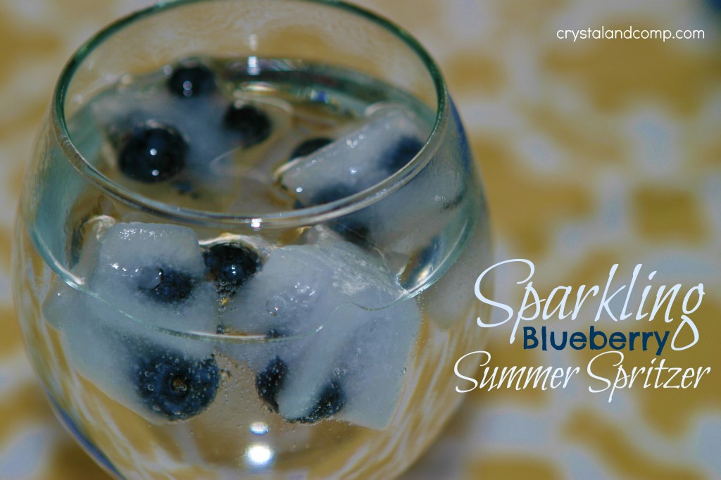 sparkling blueberry summer spritzer easy recipes