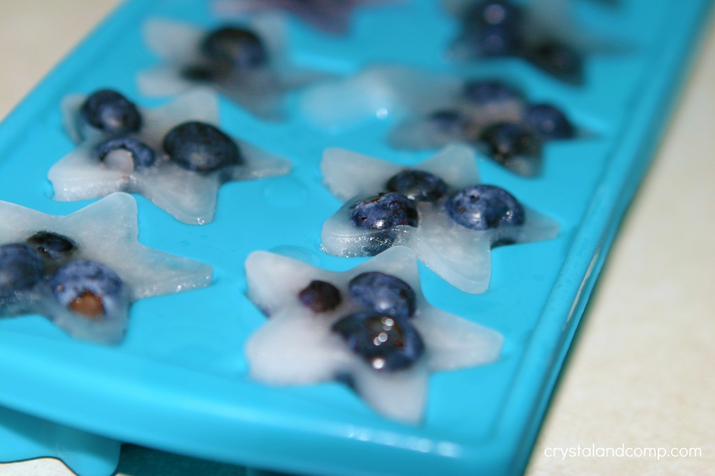 blueberry ice cubes