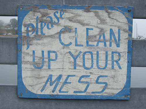 How I Keep my House Clean\