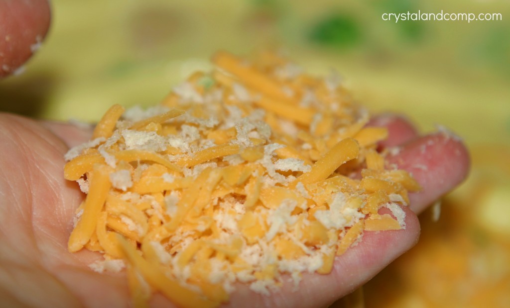 shredded cheese and bread crumbs