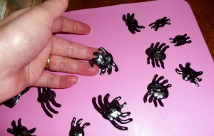 spiders
