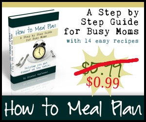 how to meal plan $0.99 sale