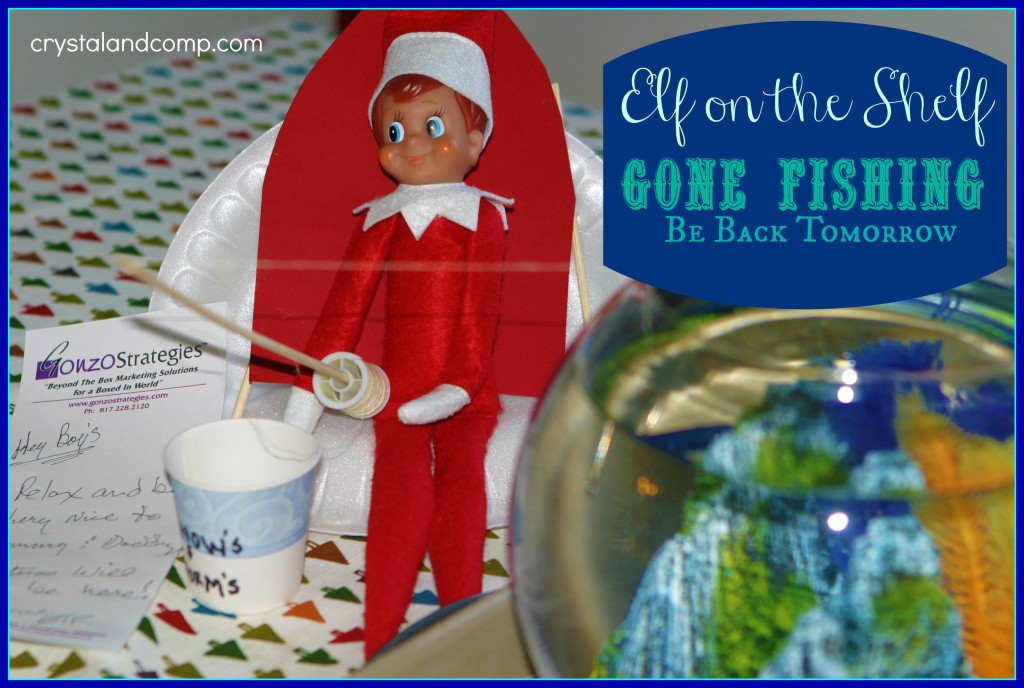 elf on the shelf photos