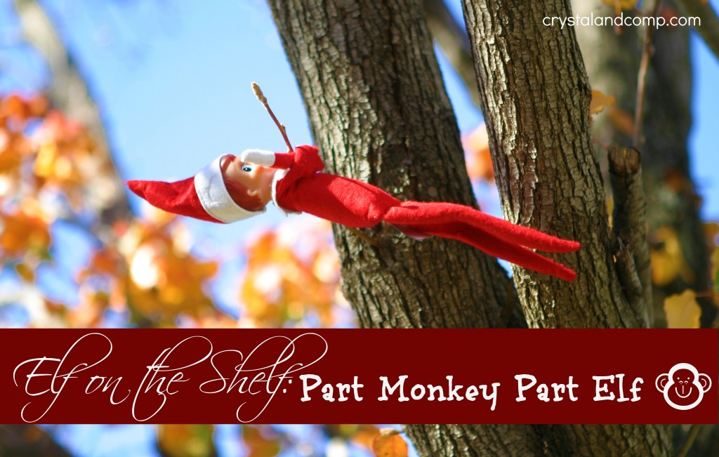 elf on the shelf monkey