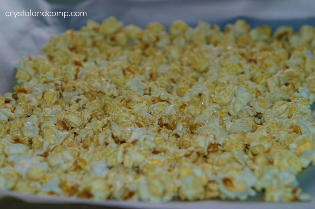 popcorn snack popcorn snack
