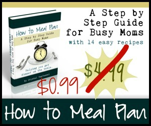 how to meal plan $.99